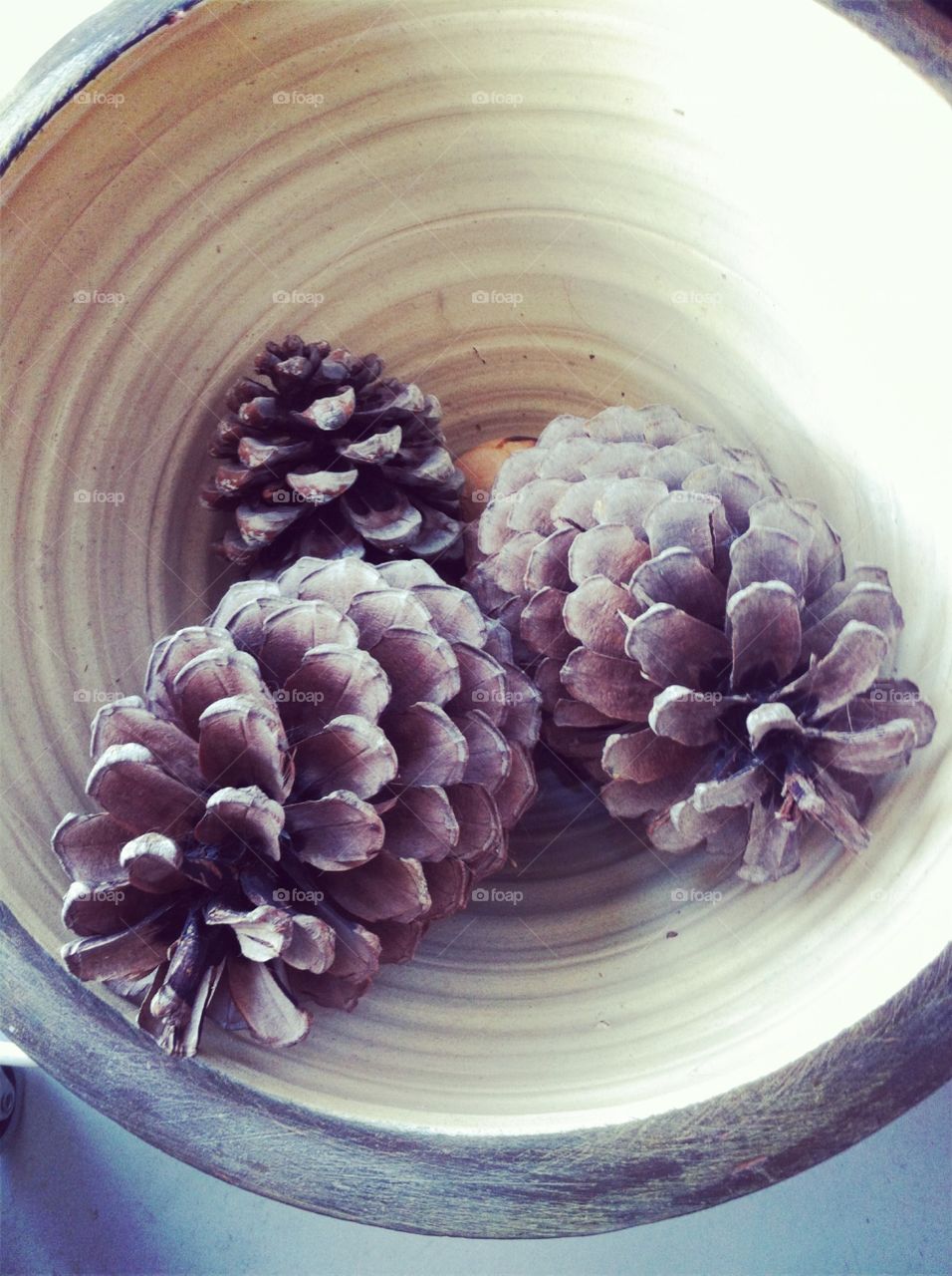 Pinecones