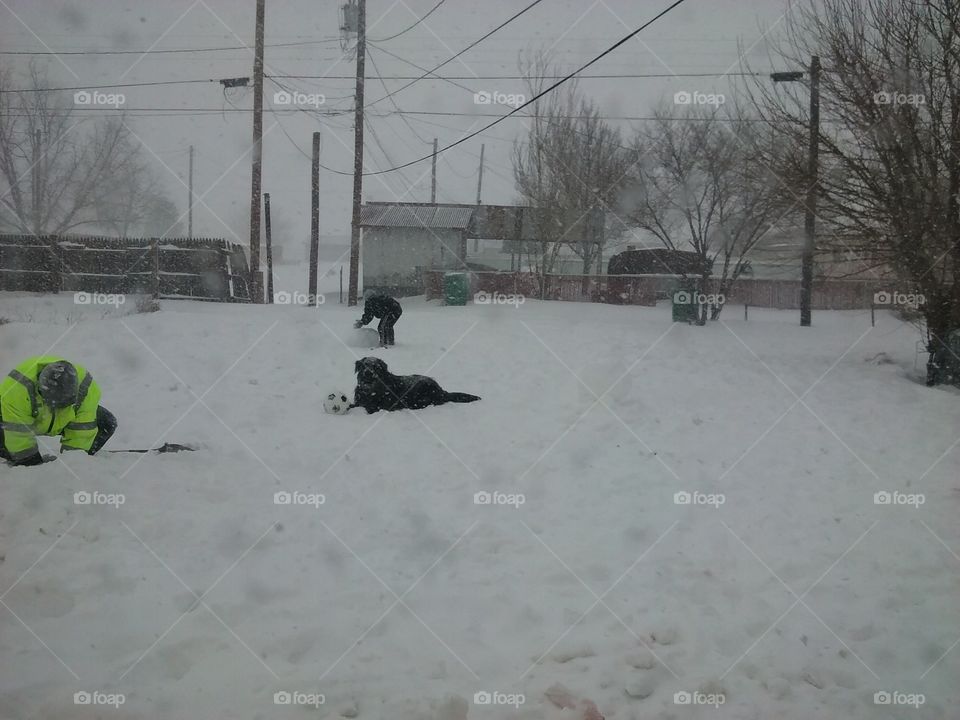 blizzard proof crazy snowman building men