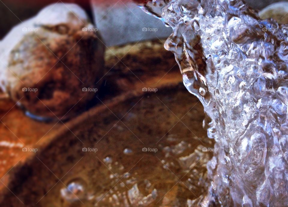 Dynamic bird fountain 