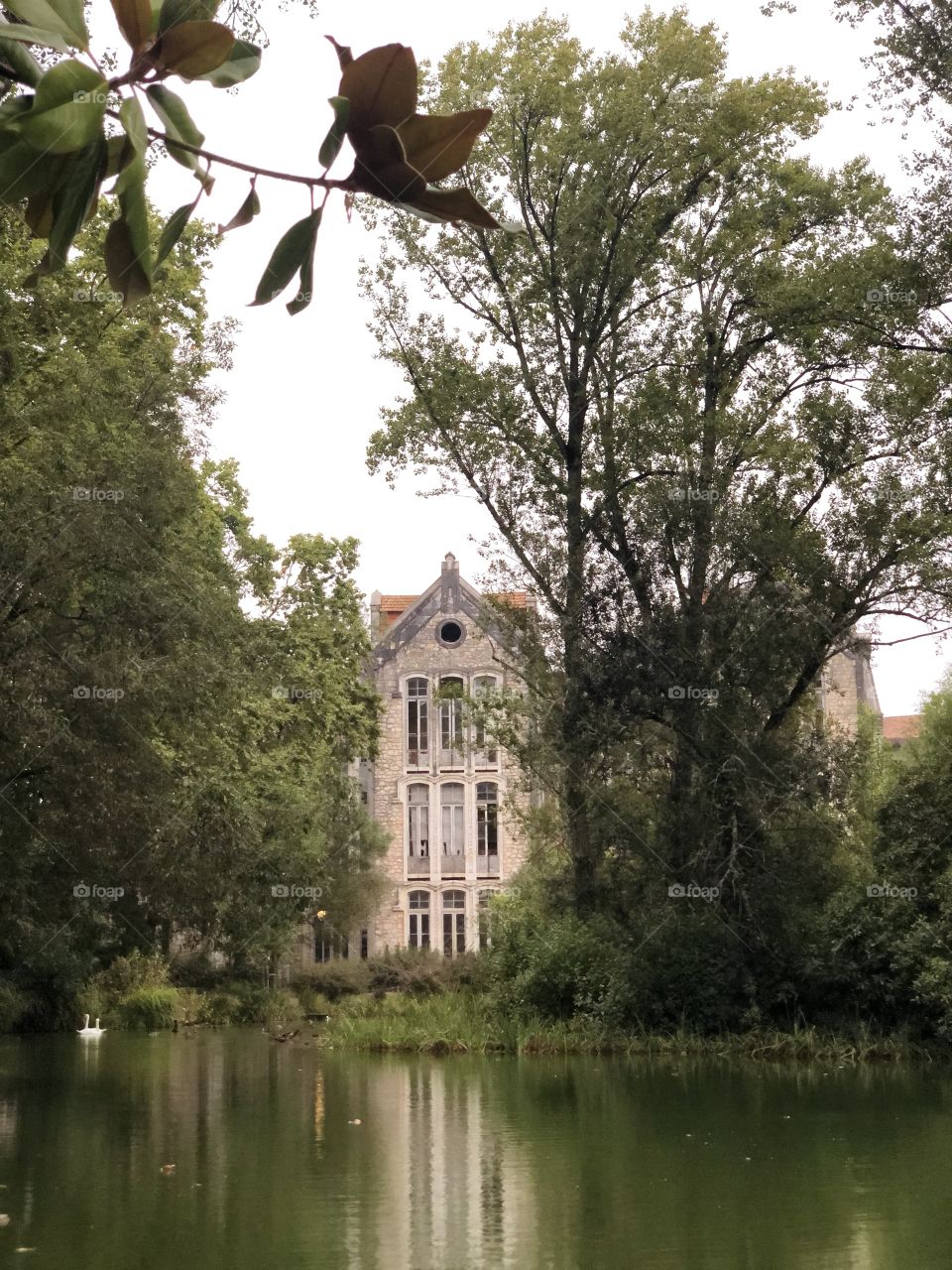 Green lake in the park Caldas da Rainha