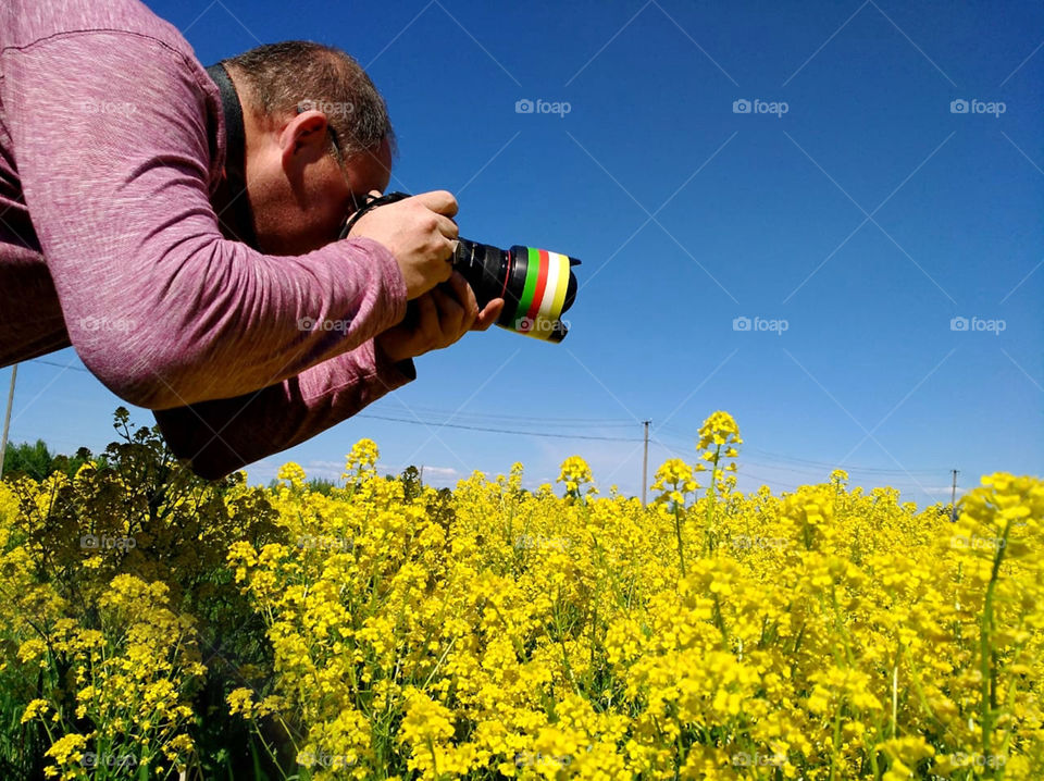 Blue sky mix with yellow flowers