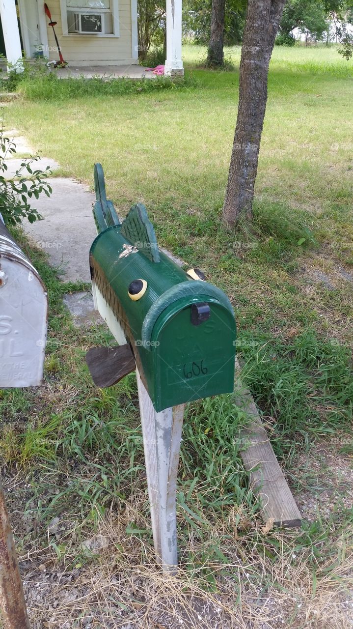 Large mouth bass Mailbox