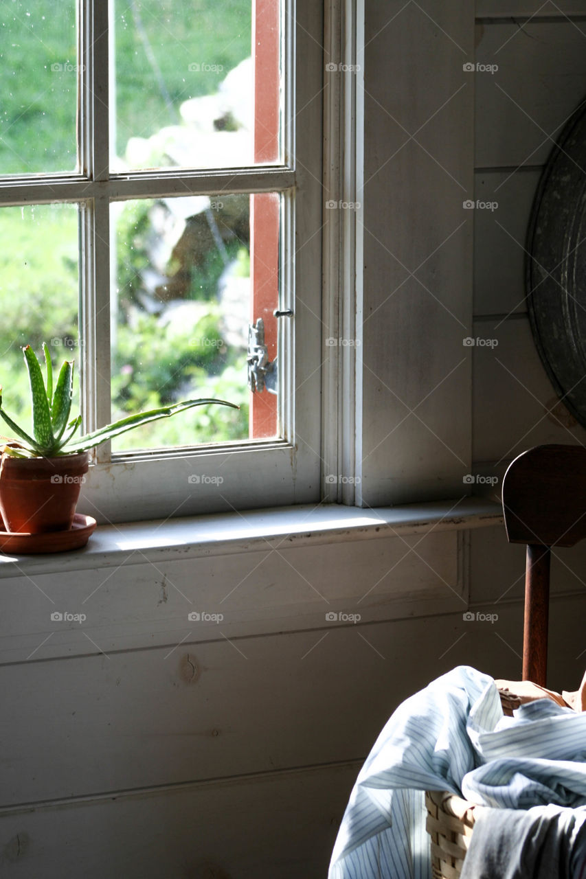 A quiet moment by the window