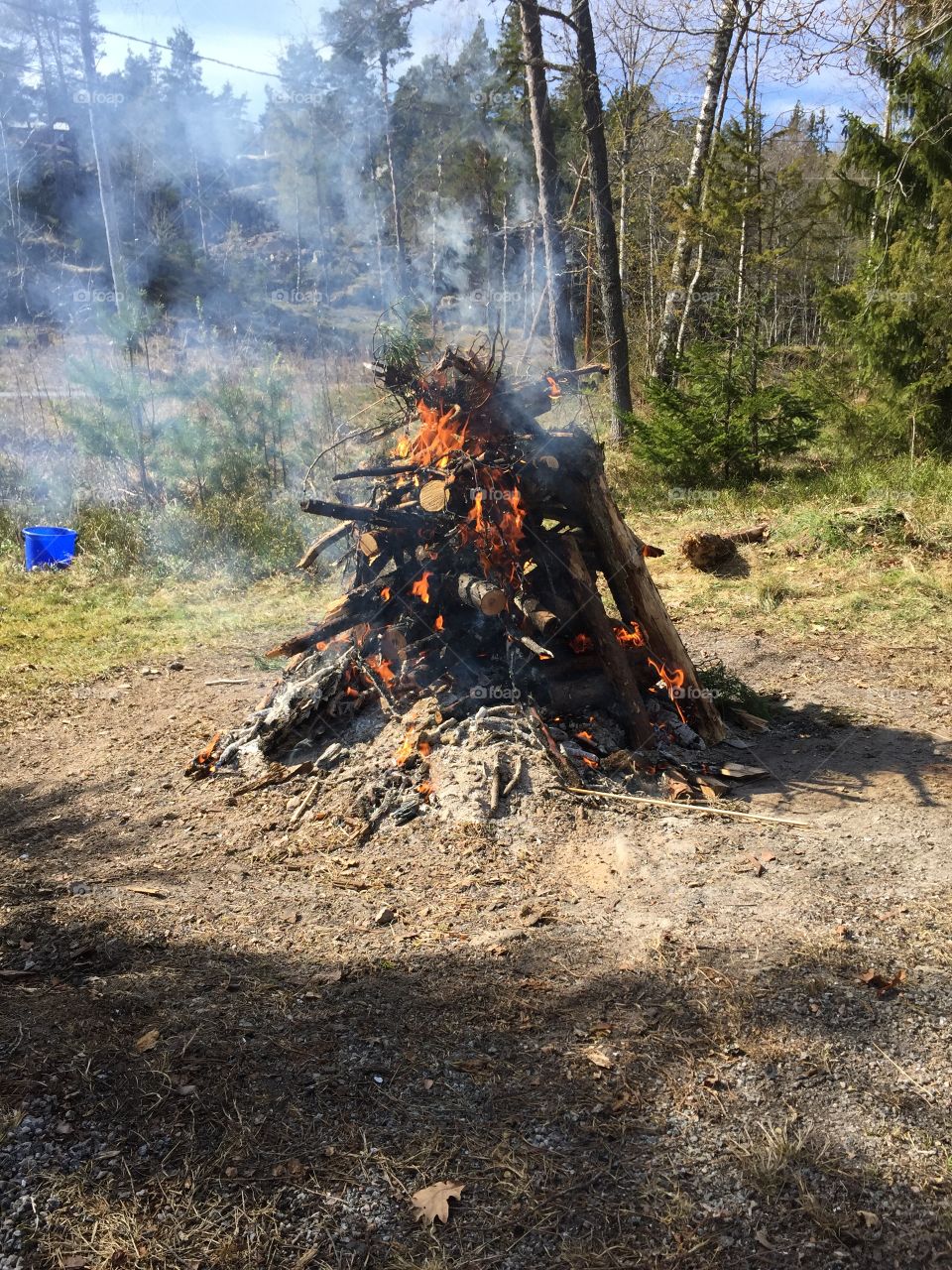 Fire . A fire on early spring