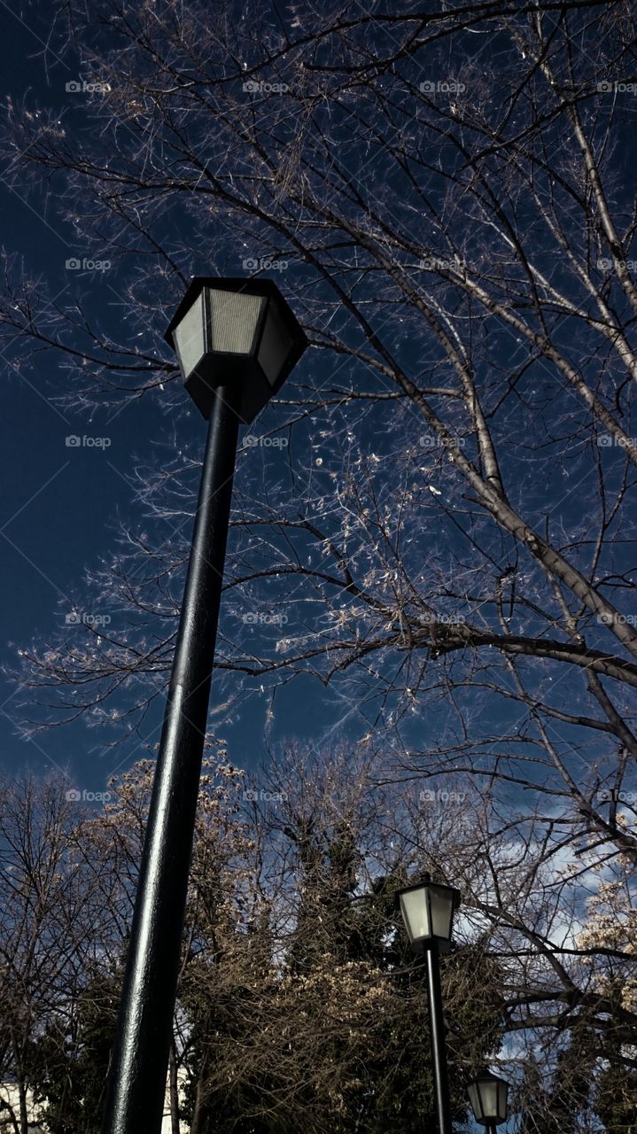 Low angle view of bare tree