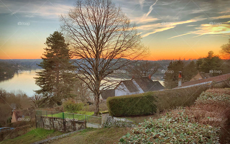 Green shoots begin to appear in rural France, February 2019