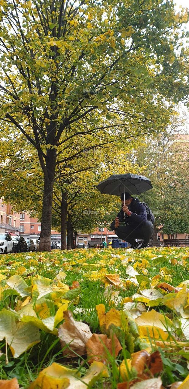 Autumn#leaves#colors#human