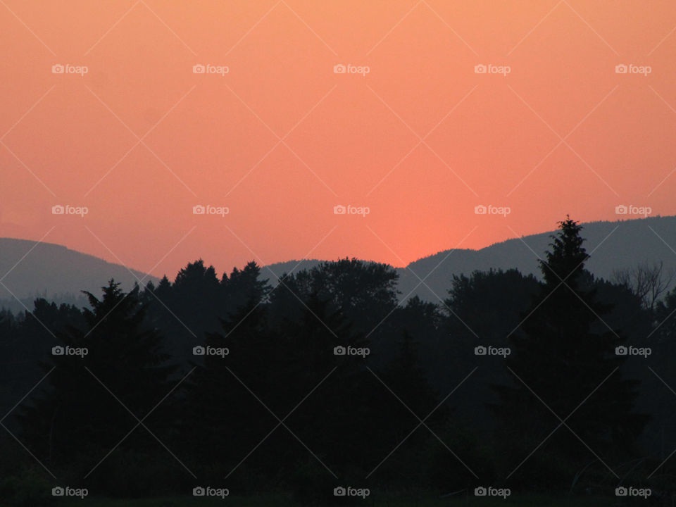 The setting sun has just dipped below the mountains still lighting the sky in a beautiful pink & orange glow. The trees & mountains are darkly silhouetted against the glowing sky but the form of the fir trees in the foreground is still visible. 