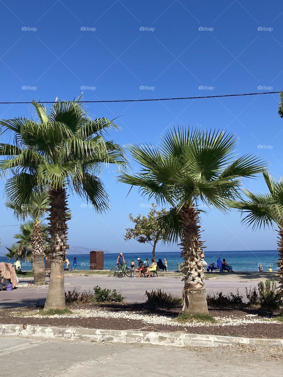 Beach time on holidays. Blue sky and tall palm trees. Sunsets and sunny days. Summertime in Kusadasi. Vacation travel in Turkey . Summer view. Sunny day during vacation