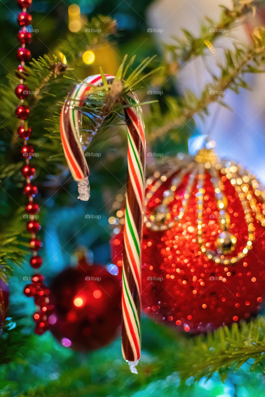 A Candy Cane as a Christmas Tree as an ornament. 