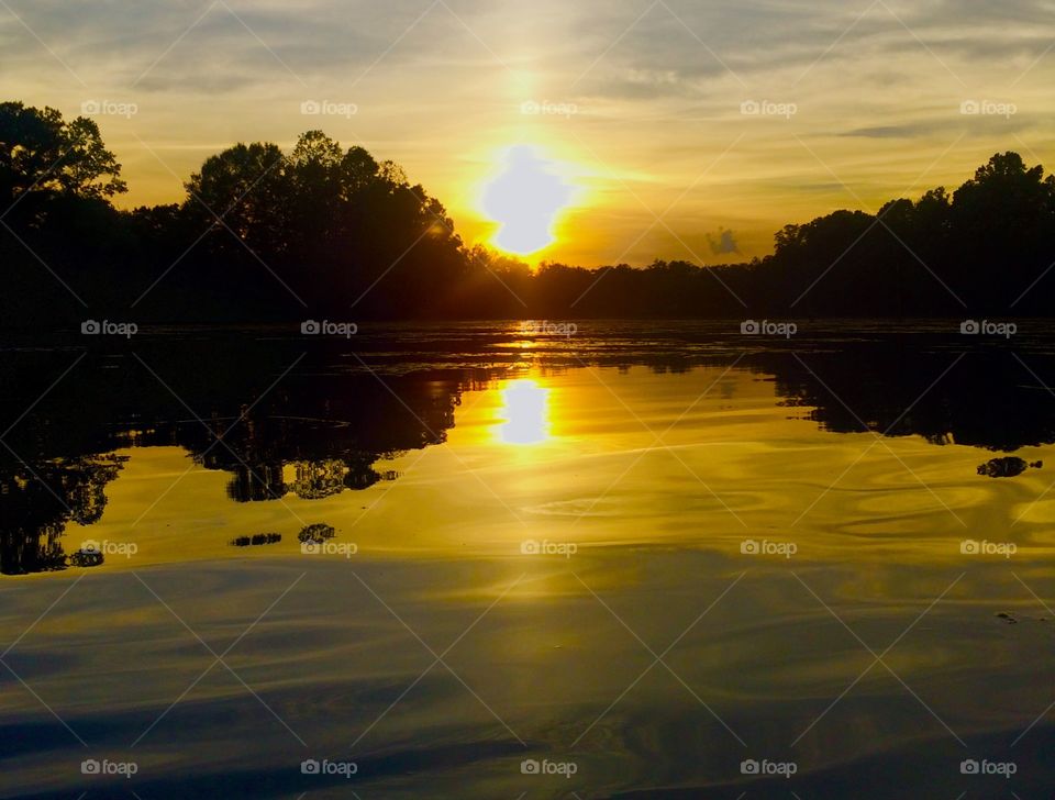 Evening on the pond