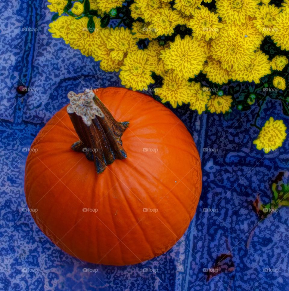 Pumpkin on bed