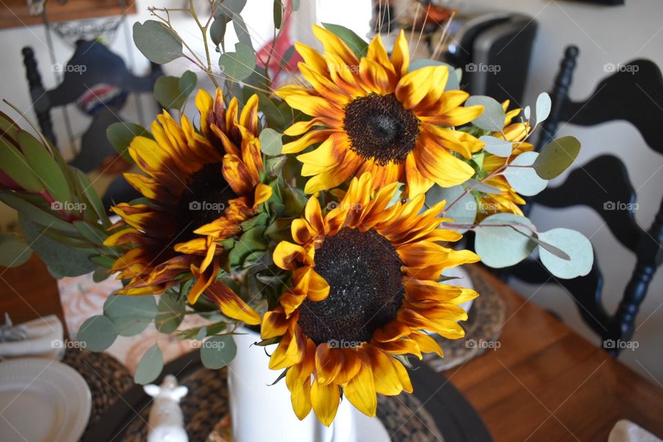 Sunflowers
