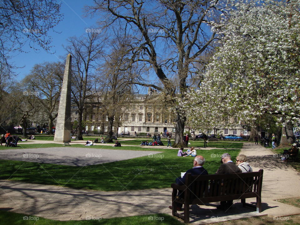 Springtime Obelisk. Springtime Obelisk in the park ...