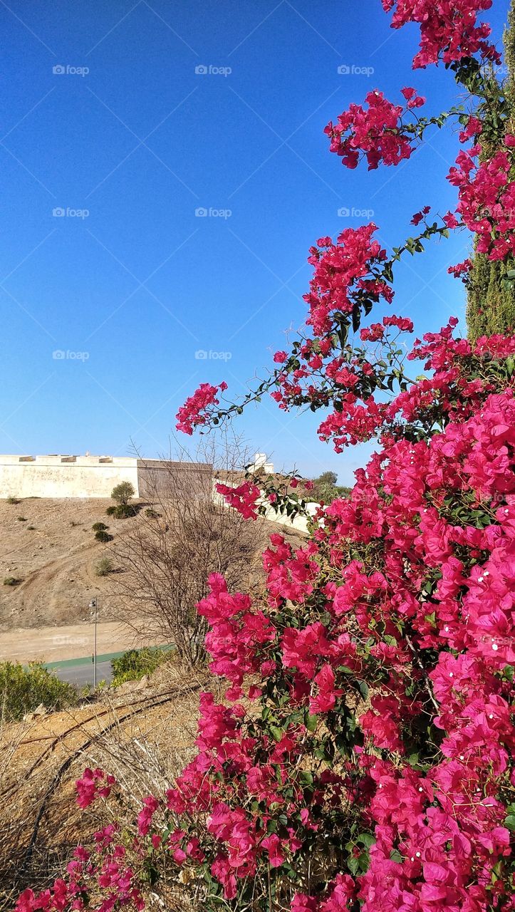 image of the ancient fort