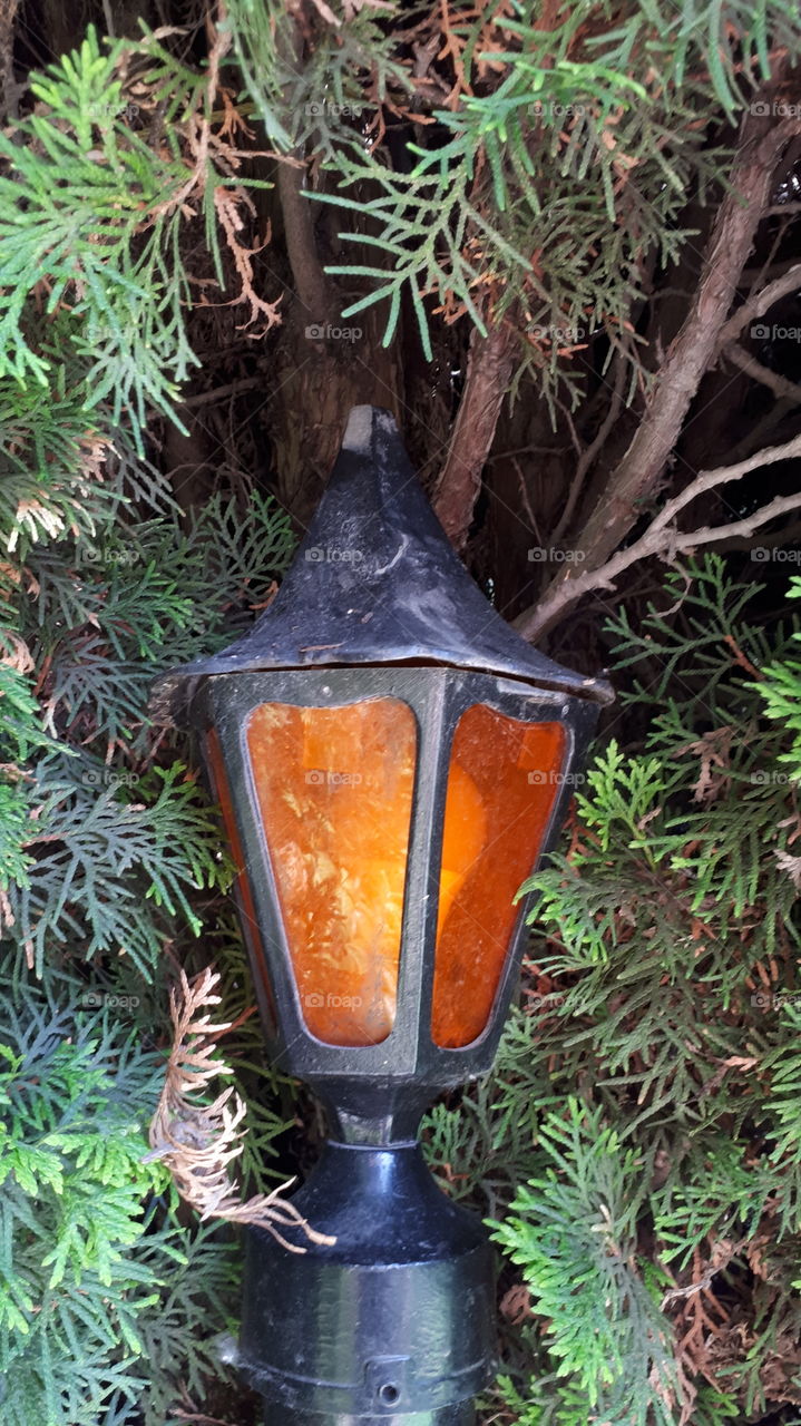 Orange Stained Glass Lamp in Cedars