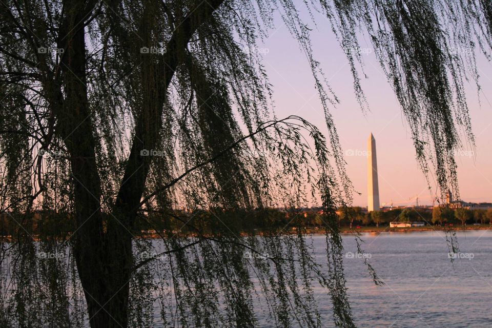 Washington monument at twilight 