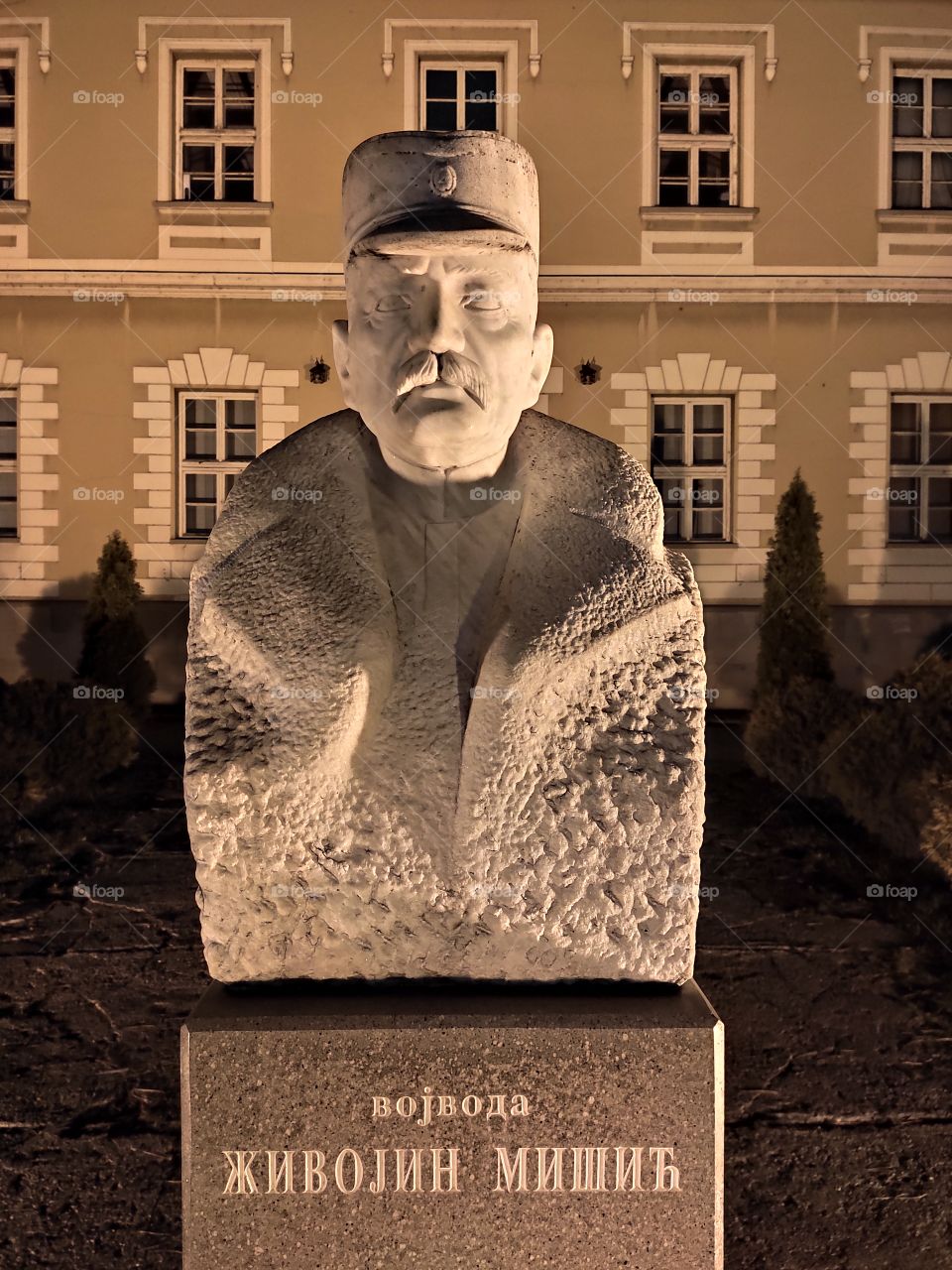 Zivojin Misic great army leader in WW1