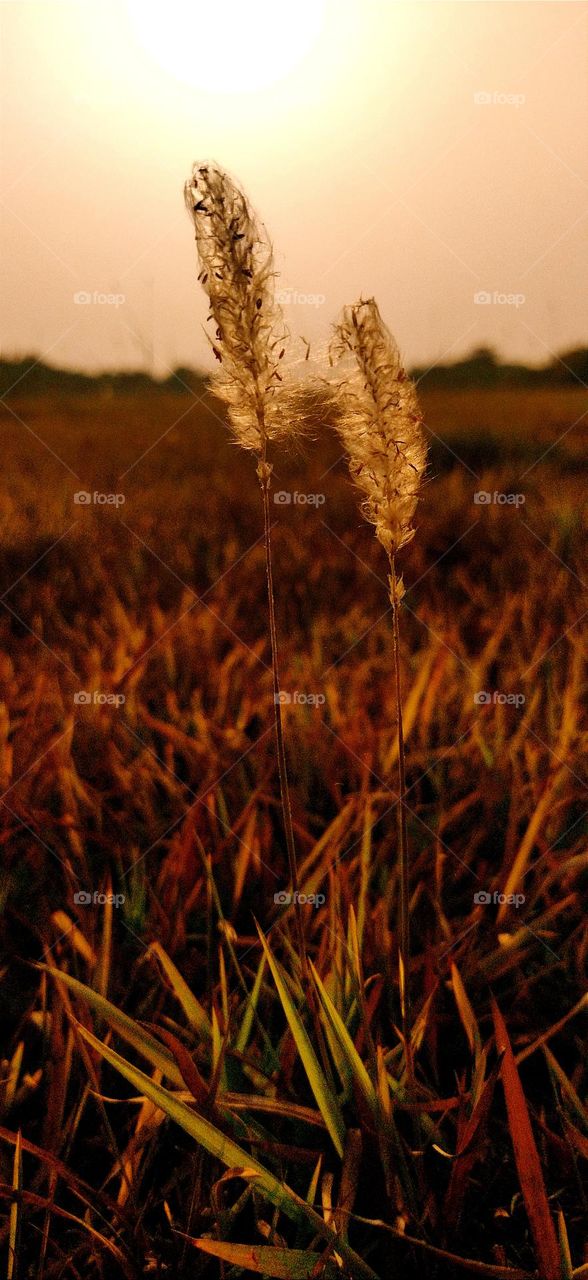 इसी तरह एक साथ परेशानियों के सामने ख़ड़े रहे हम तुम तो , जानते हो क्या होगा ... ये जो इतनी धूप है ना वो धीरे -धीरे एक पूर्णिमा की रात में बदल जाएगी । 

- प्रीति