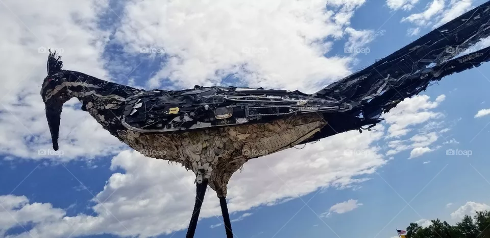 road runner
