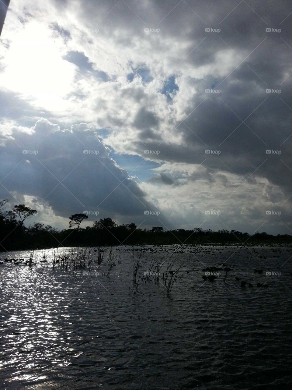 Florida Everglades Cloudy