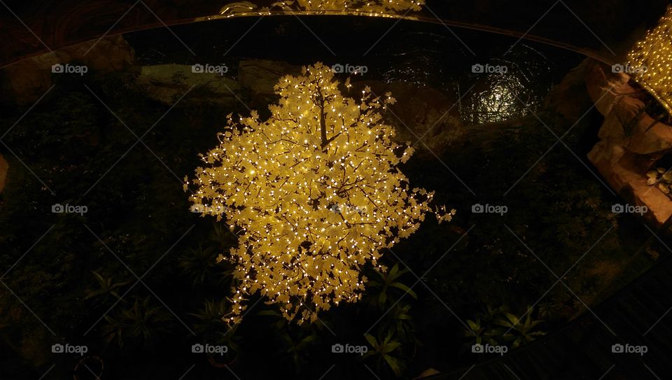 No Person, Light, Food, Still Life, Color