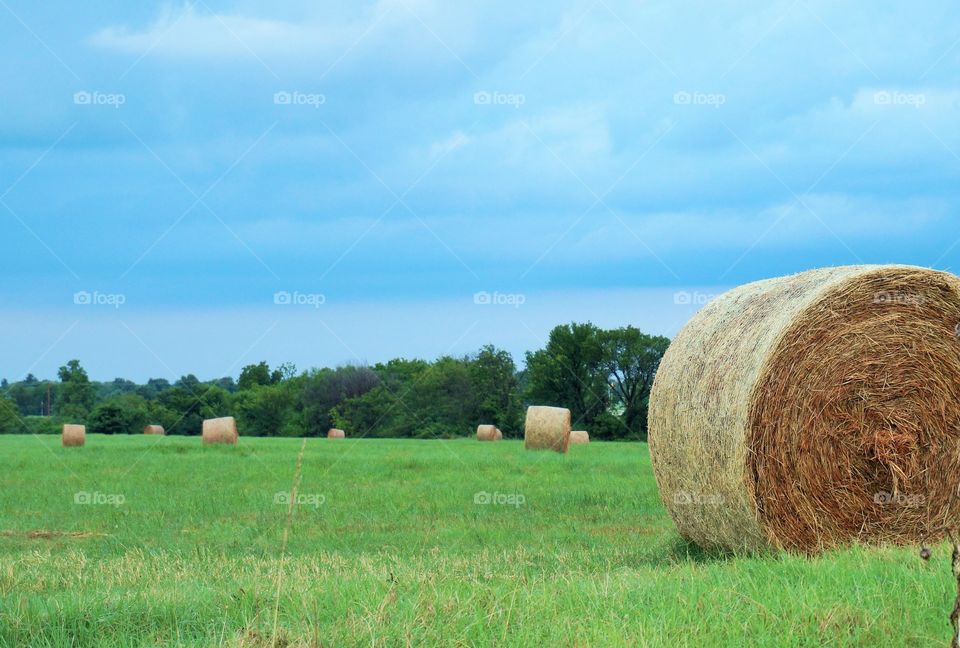 Scenic view of green pasture and golden hay bale roll