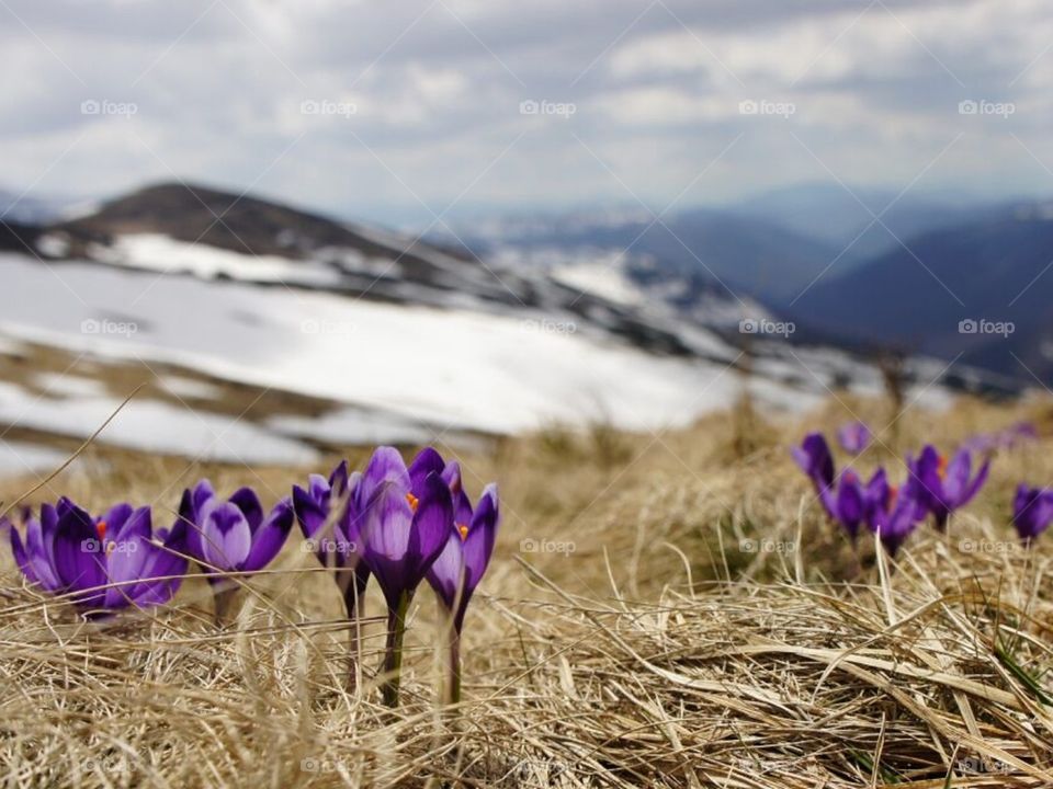 Пейзажи природы Севера