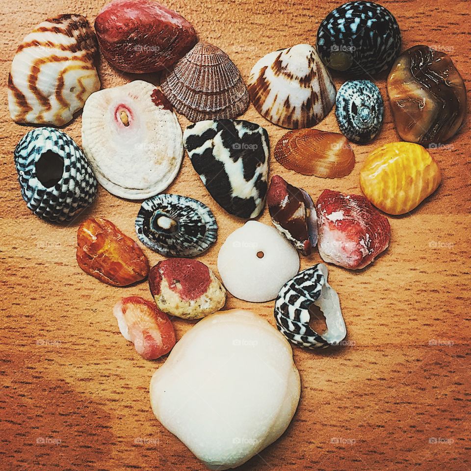 Seashells In A Heart Shape, Seashells From The Ocean, Colorful Seashells, Shells From The Beach, Collection Of Seashells 