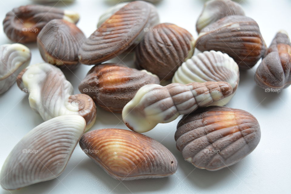 chocolate candies seashells on a white background beautiful texture