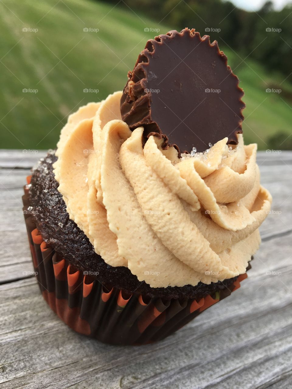 Chocolate Cupcakes with Peanut Butter Buttercream Icing topped with a Peanut Butter Cup