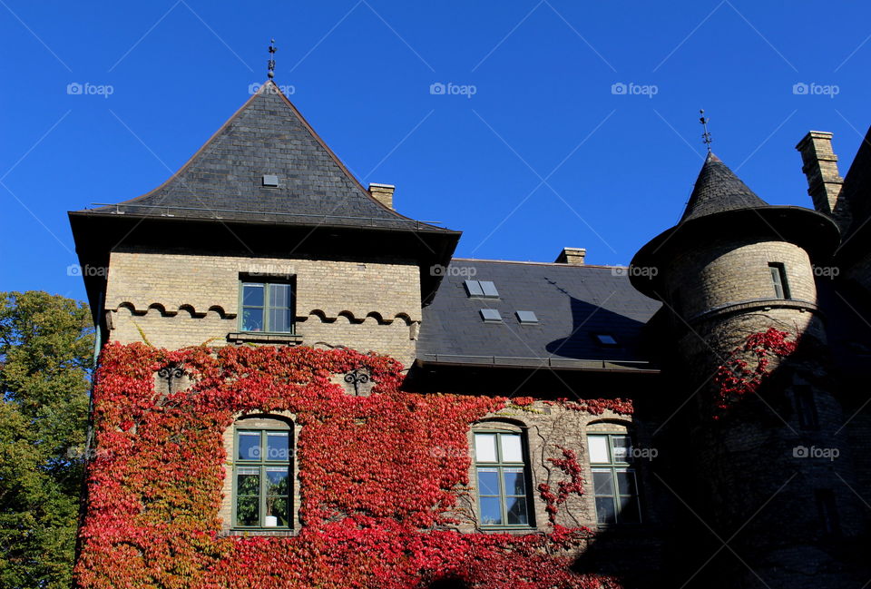 Autumn castle.