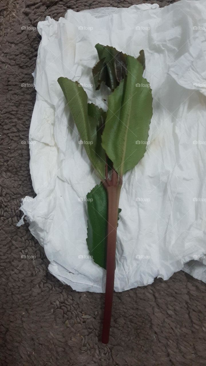 Please help me, I am very poor, I need your support and God is in need