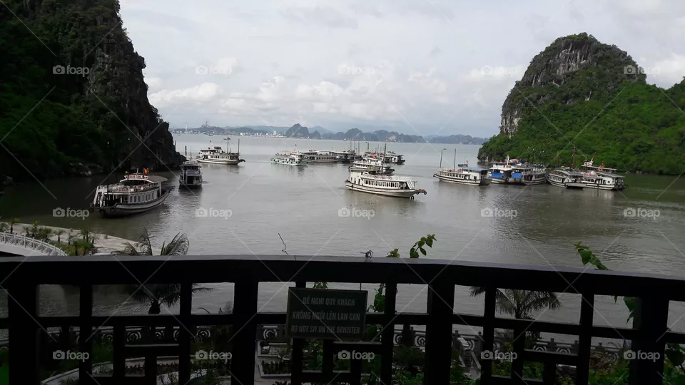 harbor and cave