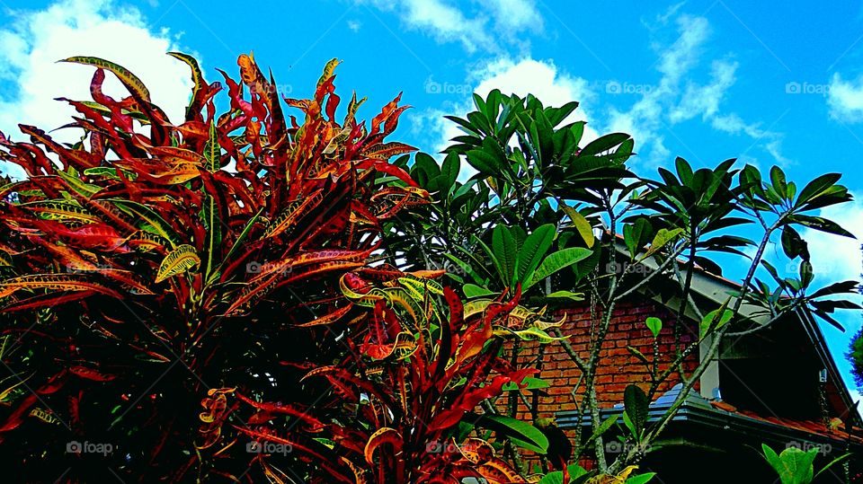 Edson Nilsen 👣 🇬‌🇪‌🇳‌🇹‌🇪‌ 🇲‌🇪‌ 👣 🇸‌🇪‌🇬‌🇺‌🇪‌👣 🇵‌🇴‌🇷‌ 🇫‌🇦‌🇻‌🇴‌🇷‌  👣 ‌👣