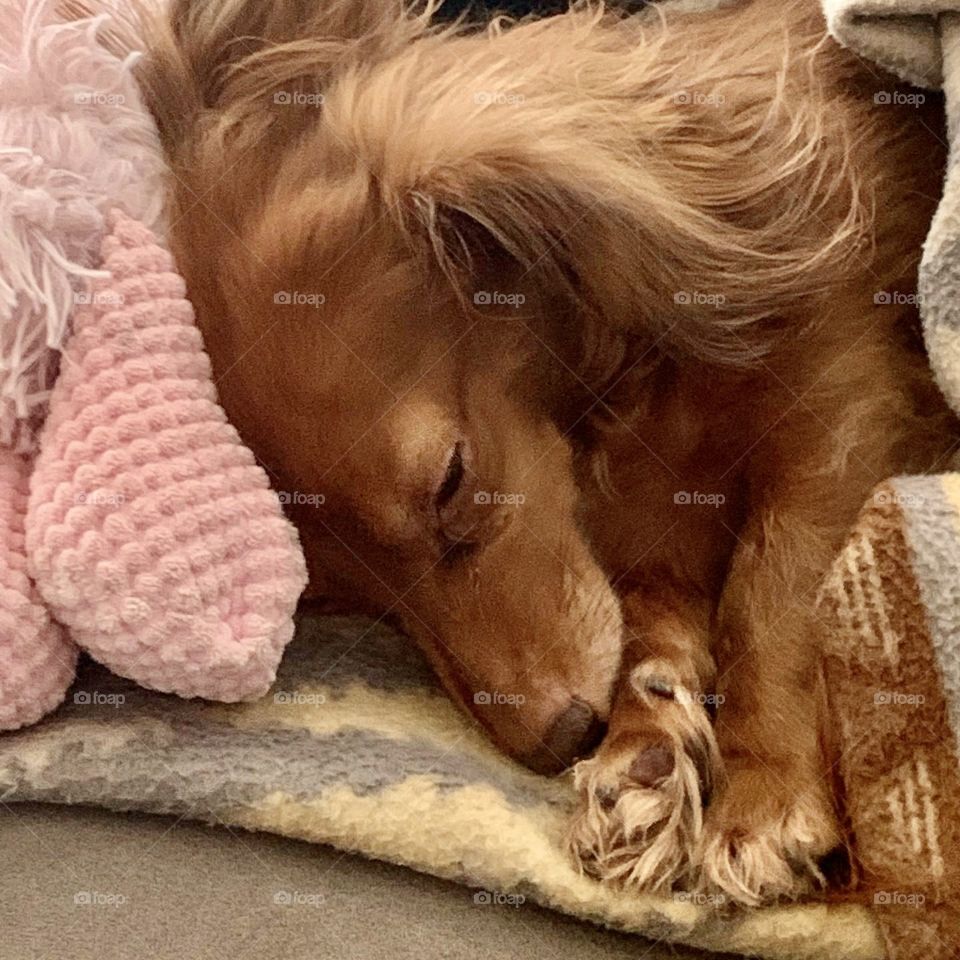 My little Angel 💖