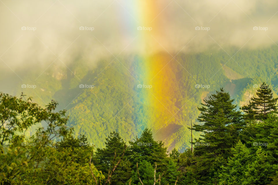 Beautiful rainbow in the morning sunlight