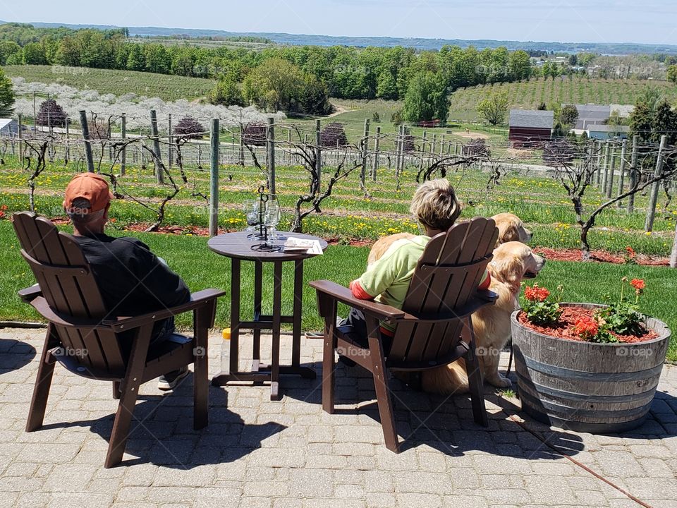 Picture perfect day at a winery. With a few 4 legged children in tow.