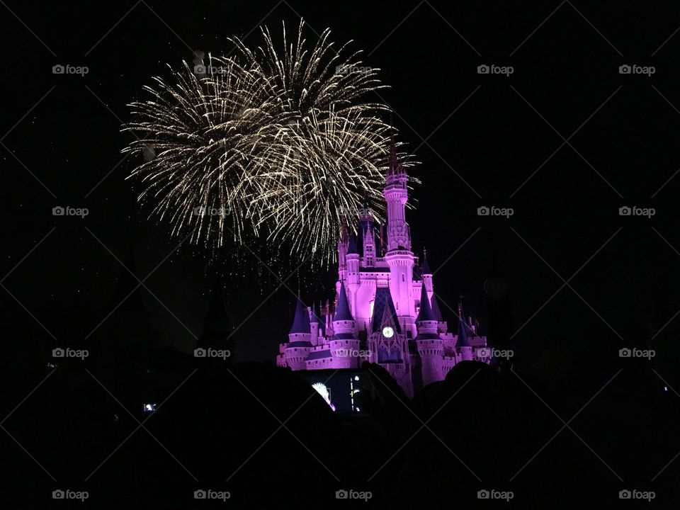 Fireworks over Cinderella's castle 