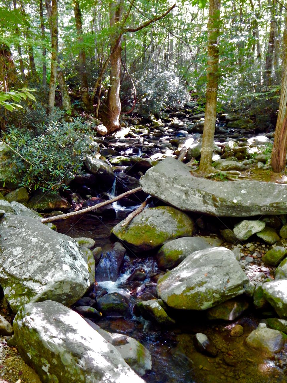 Filtered Mountain Stream