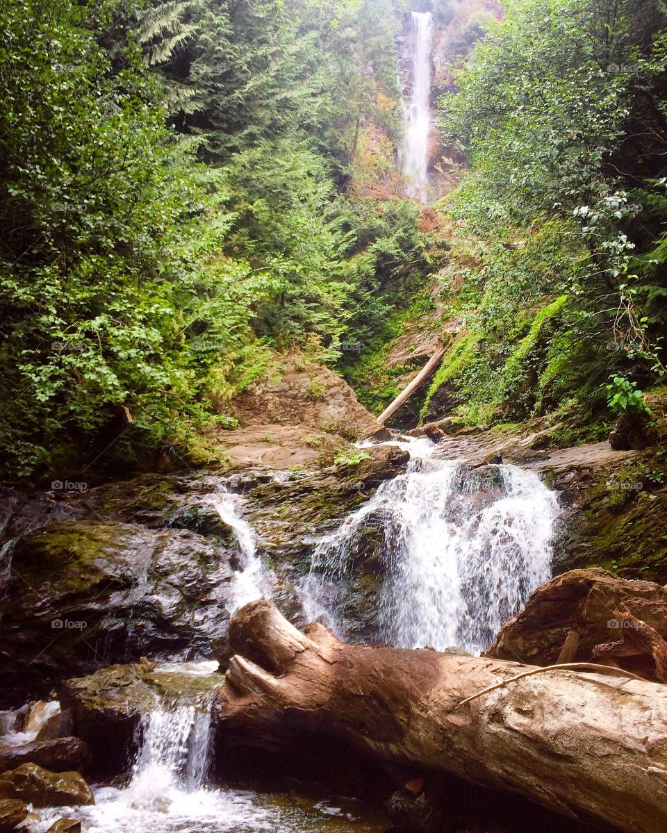 Rainbow Falls.... a little hidden gem up on the logging roads up behind Harrison Lake in BC.