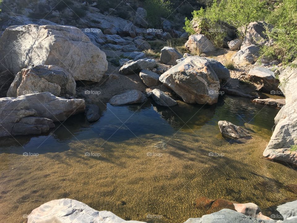 Pond at Tanque Verde