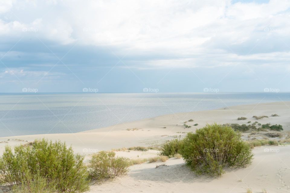 Baltic sea shore