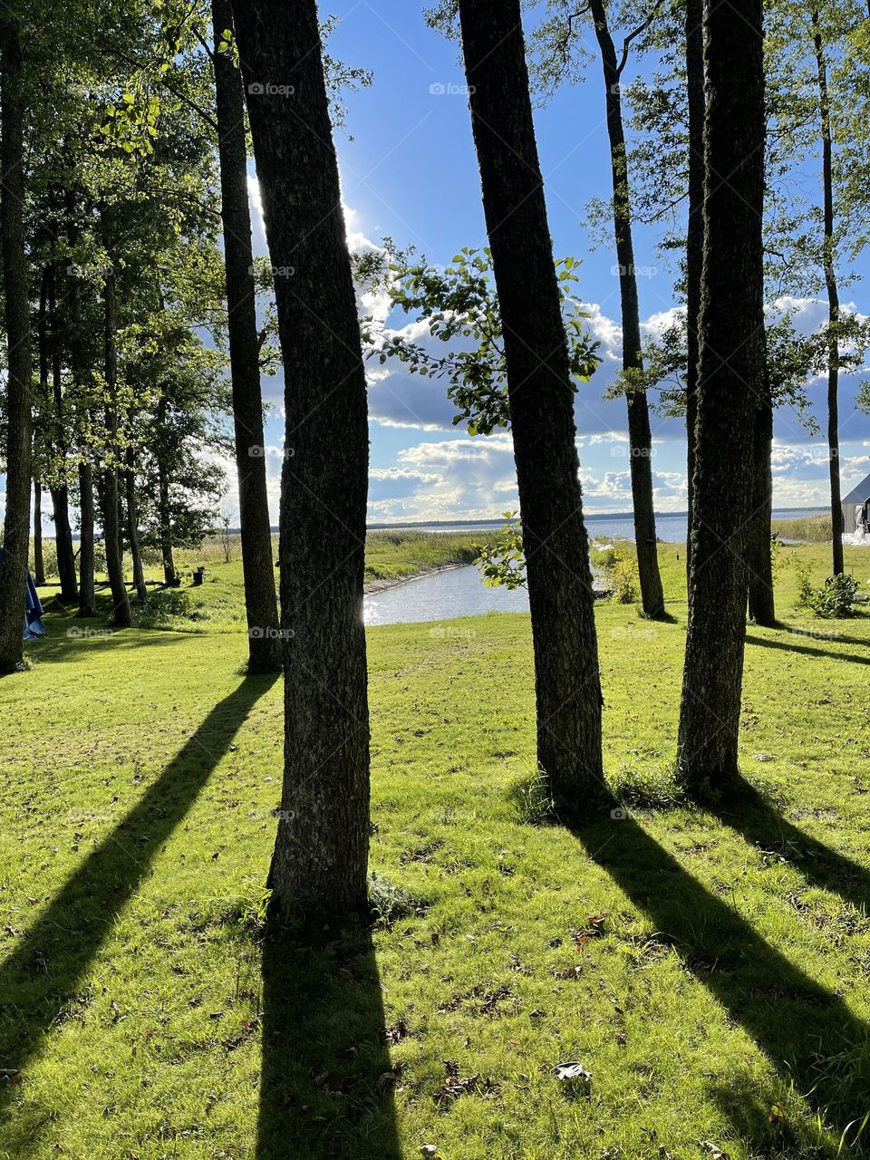 Beautiful nature by the lake and forest