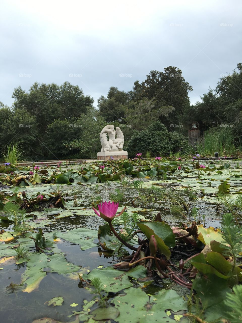 Statue lily pad