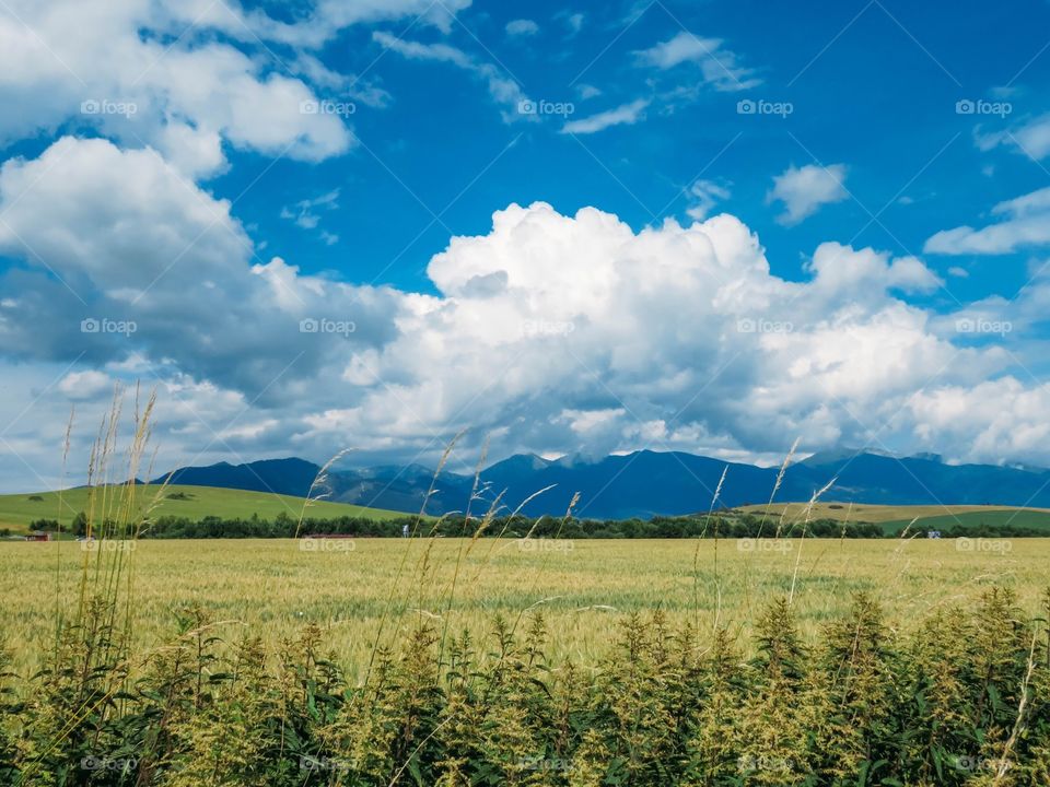 beautiful nature of Slovakia in summer