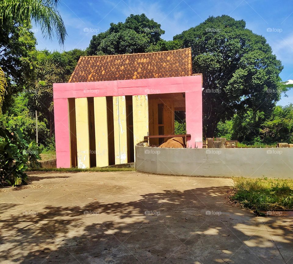 foto tirada no zoológico em minas gerais refúgio e abrigo dos elefantes destacando sua beleza