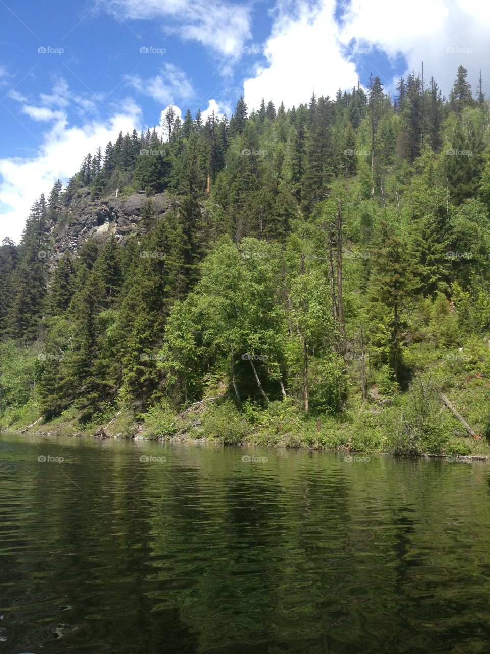 View from the boat on the lake! 