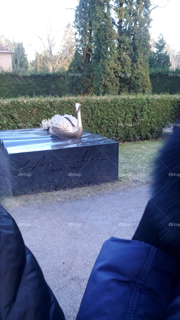 The symbol if Finland