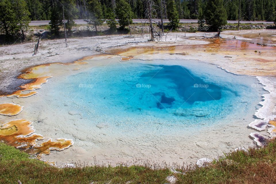 Yellowstone Geyser